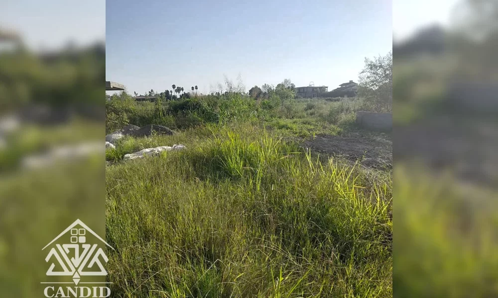 فروش آپارتمان نیمه ساخته در رامسر - کتالم کد 61