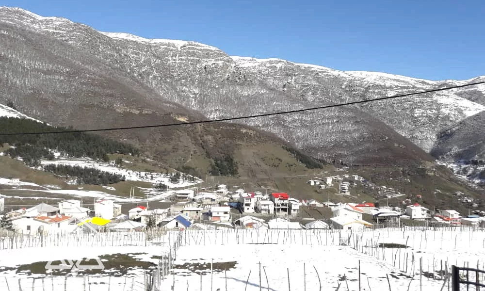 فروش ویلا جنگلی در رامسر کد 140