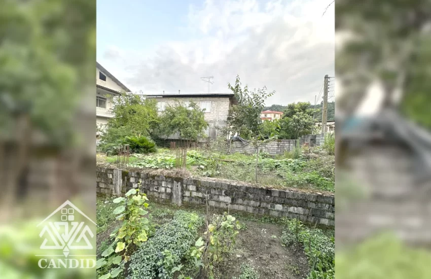 فروش زمین در رامسر کد 193