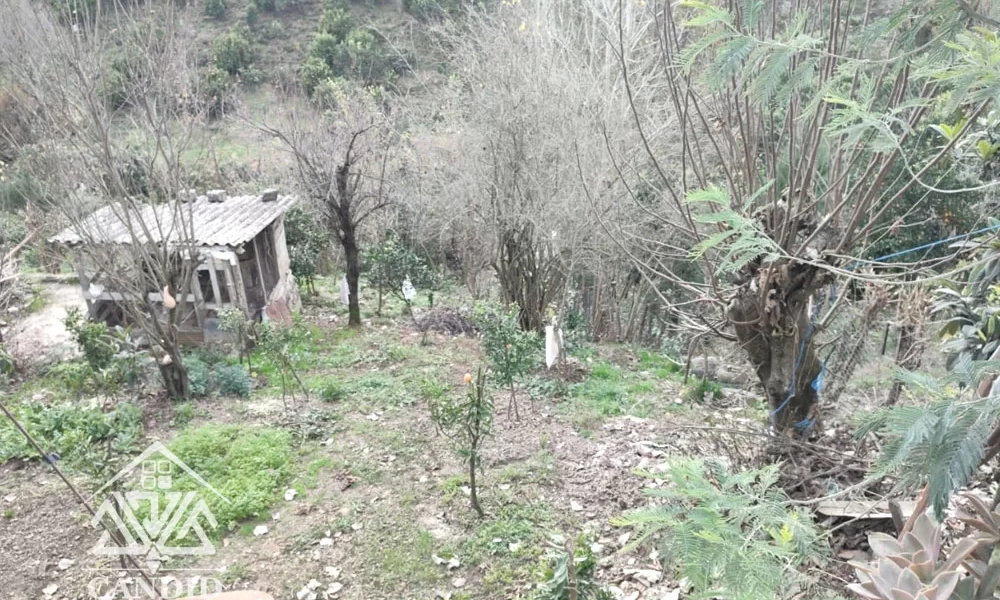 فروش آپارتمان در رامسر کد 243