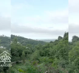 فروش زمین در رامسر کد 247